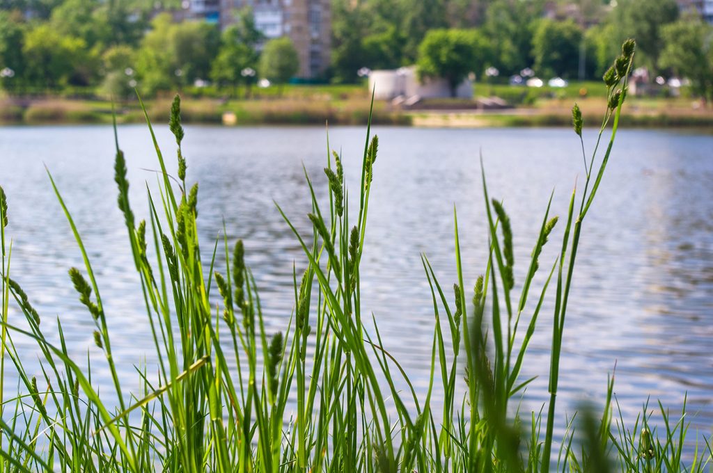 Lacul și promenada din ansamblul rezidențial Green Lake