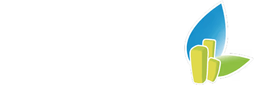 Primavera Development